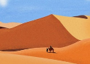 沙漠艺术&nbsp;