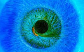 视觉艺术 视觉艺术