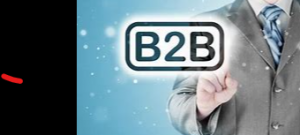 B2B