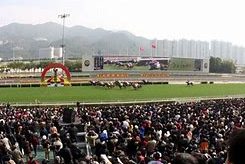 香港赛马会 香港赛马会