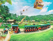 长隆野生动物世界