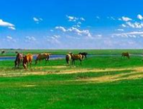 中国四大平原 中国四大平原