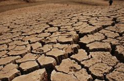 旱灾 旱灾