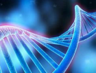 DNA存储技术