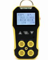 气体检测仪